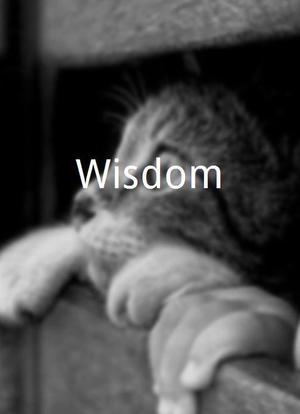 Wisdom海报封面图