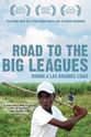 Vladimir Guerrero Road to the Big Leagues