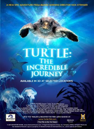 海龟奇妙之旅海报封面图
