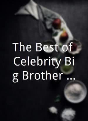The Best of Celebrity Big Brother 2006海报封面图