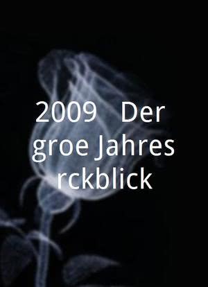 2009 - Der große Jahresrückblick海报封面图