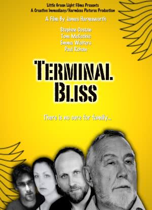 Terminal Bliss海报封面图