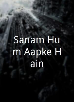 Sanam Hum Aapke Hain...海报封面图