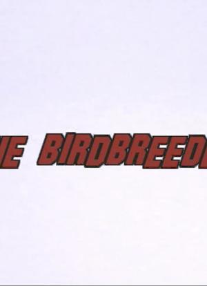 The Birdbreeder海报封面图