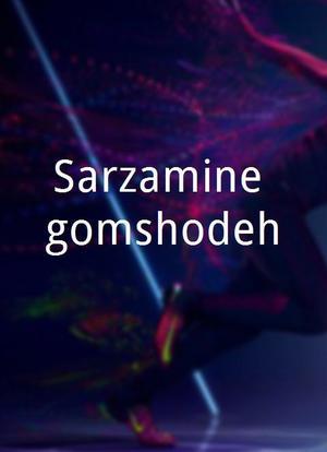 Sarzamine gomshodeh海报封面图