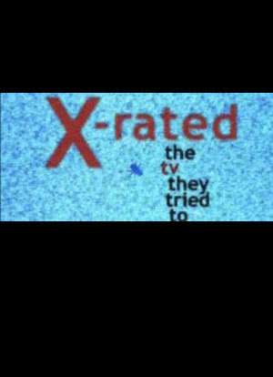 X-Rated: The TV They Tried to Ban海报封面图