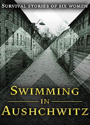 Swimming in Auschwitz海报封面图