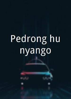 Pedrong hunyango海报封面图