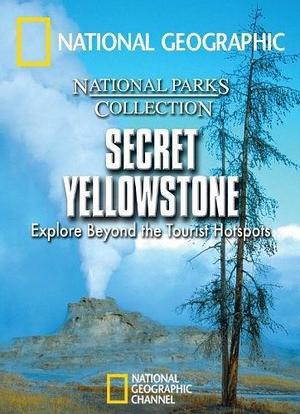 Secret Yellowstone海报封面图