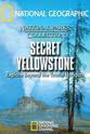 Travis Wyman Secret Yellowstone