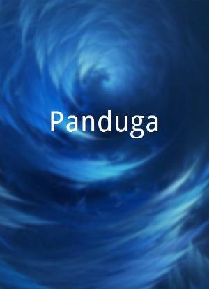 Panduga海报封面图