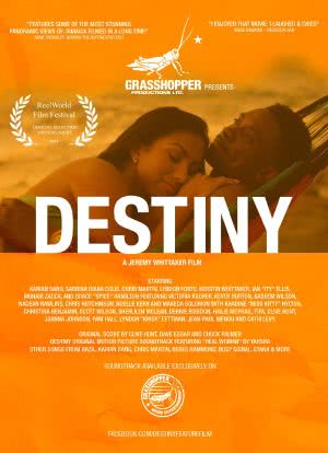 Destiny海报封面图