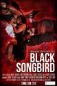Gary Kiser Black Songbird