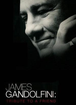 James Gandolfini: Tribute to a Friend海报封面图