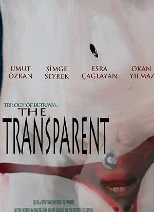 The Transparent海报封面图
