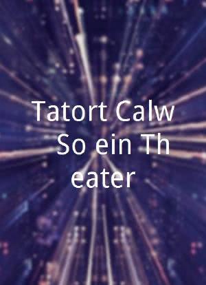 Tatort Calw - So ein Theater!海报封面图