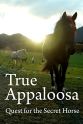 Conor Woodman The Secret Horse: Quest for the True Appaloosa