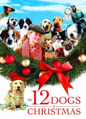 12 Dog Days of Christmas海报封面图