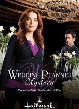 Wedding Planner Mystery海报封面图