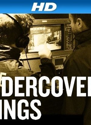 Undercover Stings海报封面图