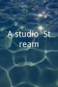 Atte Jääskeläinen A-studio: Stream