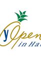 Jason Dufner Sony Open in Hawaii