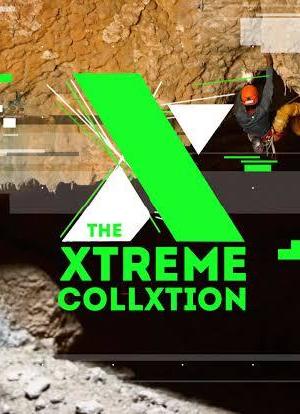 The Xtreme CollXtion海报封面图