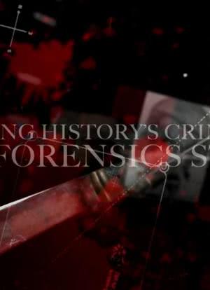Catching History`s Criminals: The Forensics Story海报封面图