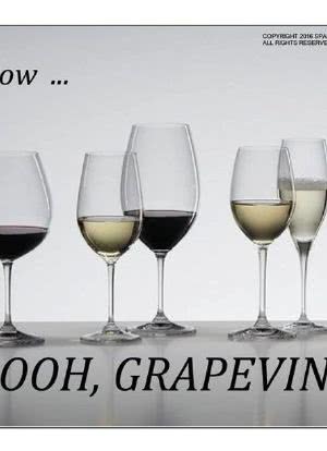 Oooh, Grapevine!海报封面图