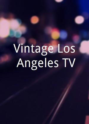 Vintage Los Angeles TV海报封面图