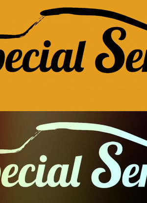 Special Series海报封面图
