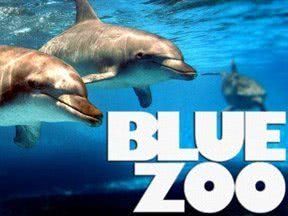 Blue Zoo海报封面图