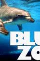 Sally Browning Blue Zoo