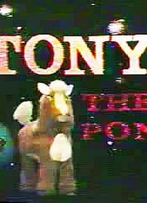 Tony the Pony海报封面图