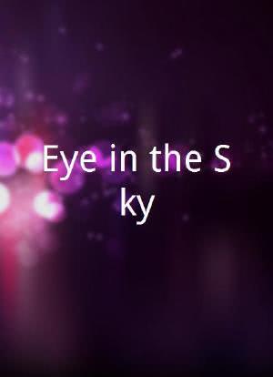 Eye in the Sky海报封面图