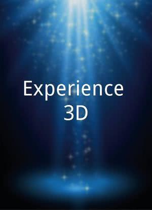 Experience 3D海报封面图
