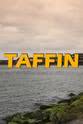 Diarmuid O'Brien Taffin: The Series