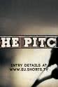 Anda Puscas The Pitch