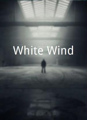 White Wind海报封面图