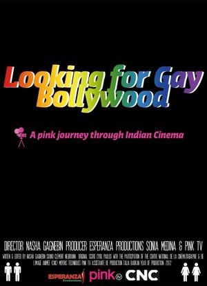 Looking for Gay Bollywood海报封面图