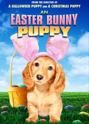 An Easter Bunny Puppy海报封面图