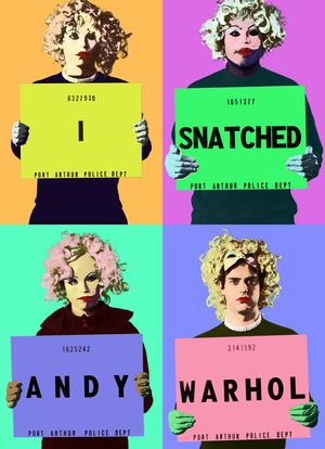 I Snatched Andy Warhol海报封面图