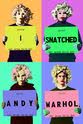 Matt Lents I Snatched Andy Warhol
