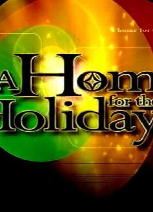 The 13th Annual 'A Home for the Holidays'海报封面图