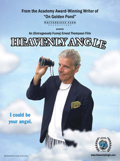 Heavenly Angle海报封面图