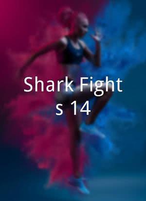 Shark Fights 14海报封面图