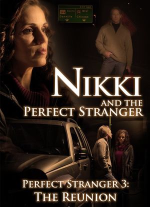 Nikki and the Perfect Stranger海报封面图