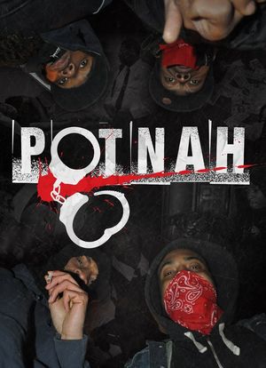 Potnah海报封面图