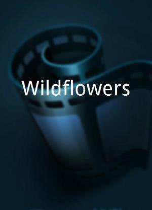 Wildflowers海报封面图