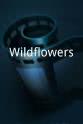 Briana J. Johnson Wildflowers